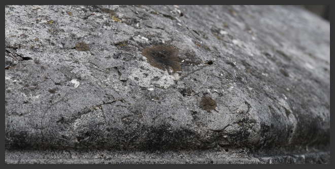 PROTECTOR-LINK - the unique protection for porous surfaces