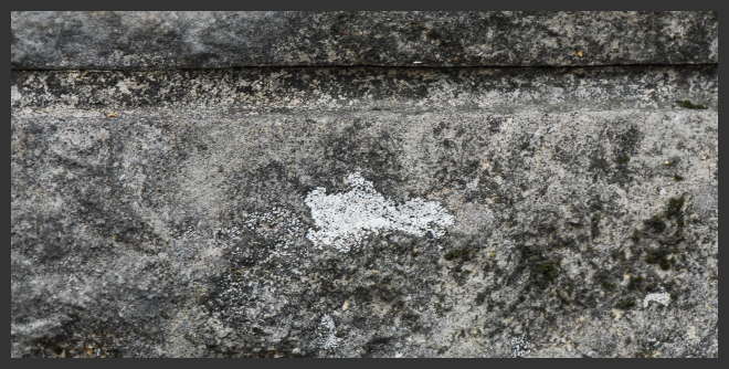 PROTECTOR-LINK - the unique protection for porous surfaces