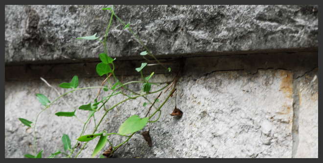 PROTECTOR-LINK - the unique protection for porous surfaces